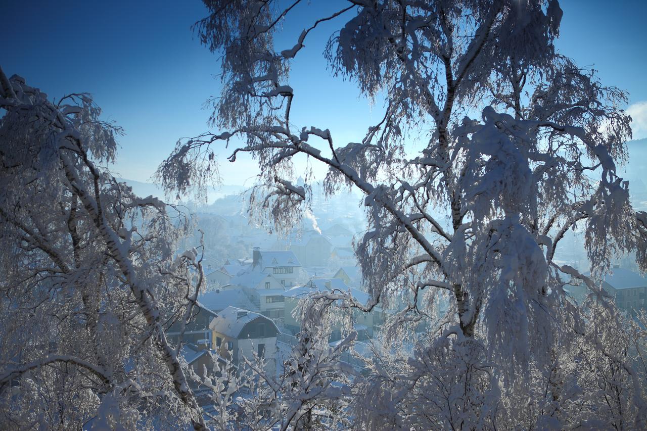 Skhidnytsia Favar Carpathians מראה חיצוני תמונה