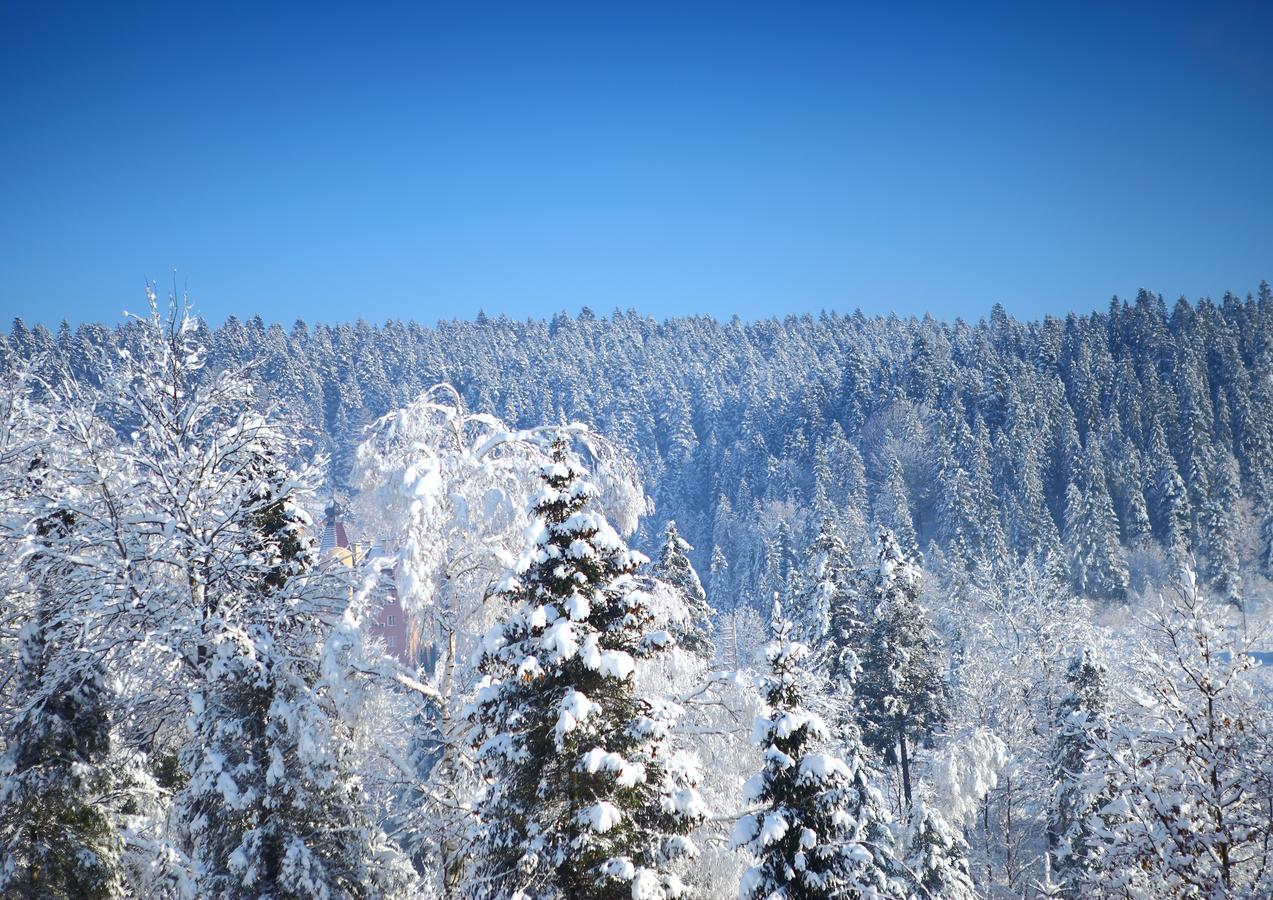 Skhidnytsia Favar Carpathians מראה חיצוני תמונה